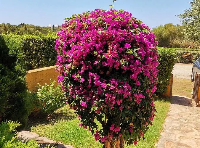 Apartment Casa Di Gio - Bilocale Con Giardino