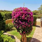 Apartmán Casa Di Gio - Bilocale Con Giardino