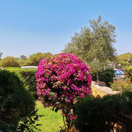 Casa Di Gio - Bilocale Con Giardino بورتو بولو