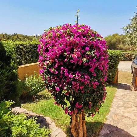 Apartment Casa Di Gio - Bilocale Con Giardino