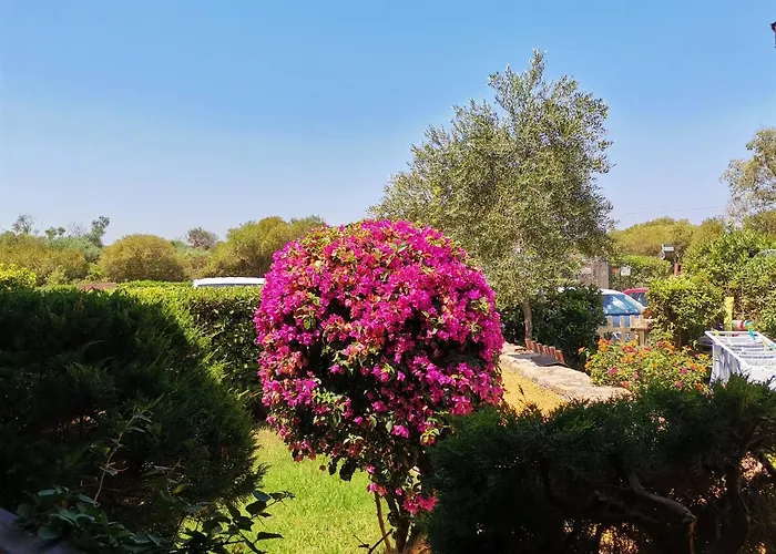 Casa Di Giò - Bilocale Con Giardino Porto Pollo